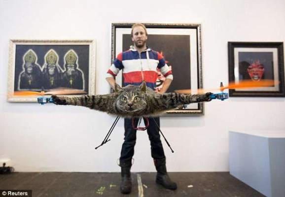 بالصور: إبداع غريب..فنان نمساوي يحول جثة قطه إلى ” هيلوكبتر” بعد أن قتلته سيارة