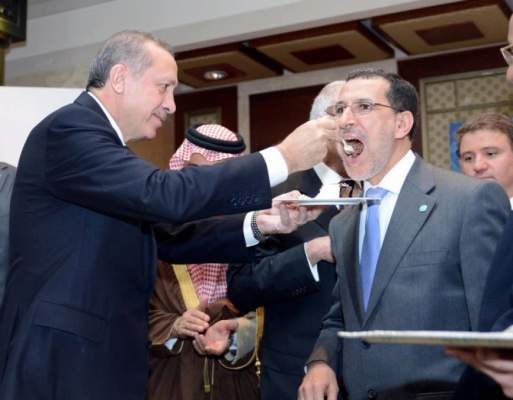 العثماني يدعو من اسطنبول إلى مشاركة فاعلة للبلدان العربية وتركيا في تنفيذ “مبادرة الرباط”