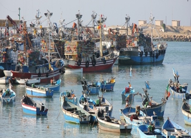 ارتفاع الكميات المفرغة من منتجات الصيد الساحلي والتقليدي بـ11% متم أكتوبر