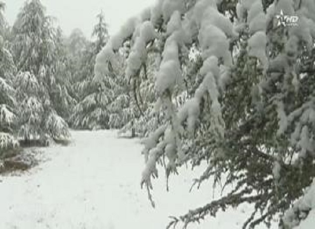 افران تعيش أولى التساقطات الثلجية