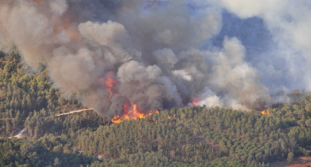الحسيمة.. حريق يأتي على أزيد من أربعة هكتارات من غابة بوسكور
