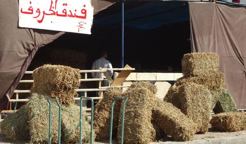 في المغرب فقط.. فنادق خمس نجوم توفر المأكل والمشرب والرعاية ب20 درهم