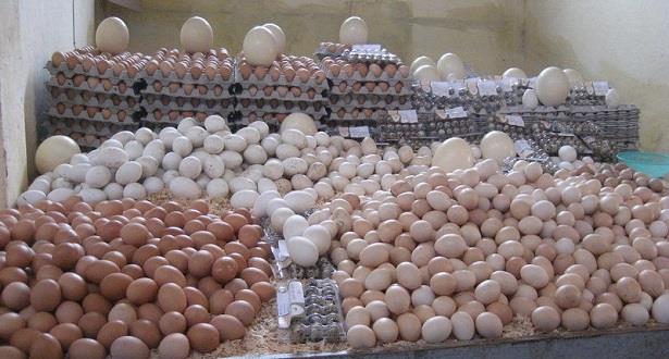 مكتب السلامة الصحية للمنتجات الغذائية يؤكد جودة وسلامة البيض في السوق المغربية