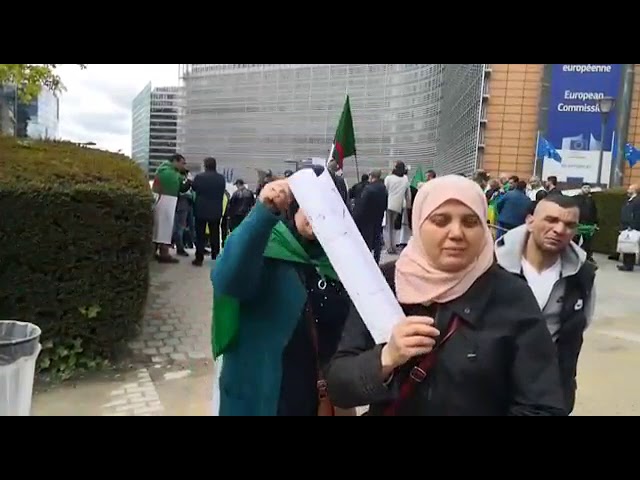 فيديو: جزائرية تناشد شرفاء الجيش بالانضمام إلى حراك الشعب