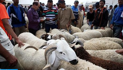وزارة الفلاحة تعلن إغلاق بعض أسواق الماشية