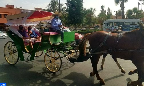 مراكش: جولة على متن العربات السياحية للتحسيس بأهمية عودة الحياة إلى طبيعتها