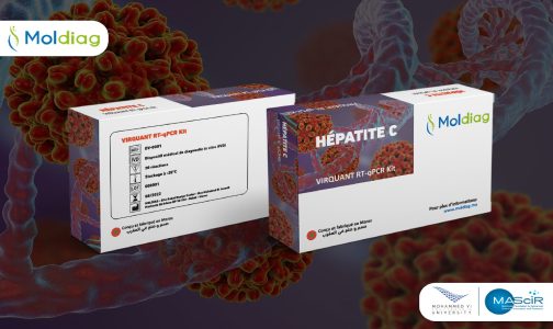 شركة Moldiag تطلق إنتاج وتسويق أول اختبار تشخيصي جزيئي مغربي 100% لالتهاب الكبد الوبائي C الذي طورته مؤسسة ‘مصير’