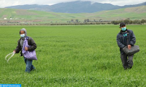 الكونفدرالية المغربية للفلاحة والتنمية القروية تثمن الرعاية التي يوليها جلالة الملك لساكنة العالم القروي وللقطاع الفلاحي