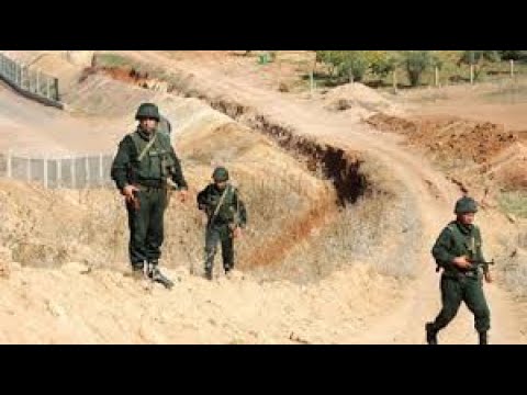 فيديو: الإعلامي الجزائري هشام عبود يقر ويؤكد تورط نظام العسكر في مأساة سياج مليلية