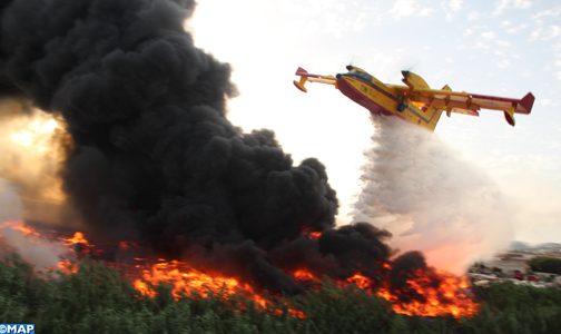 تاونات: مصرع شخص وإصابة آخر خلال مساهمتهما كمتطوعين في إخماد حريق على مستوى غابة ‘خندق تسيانة’