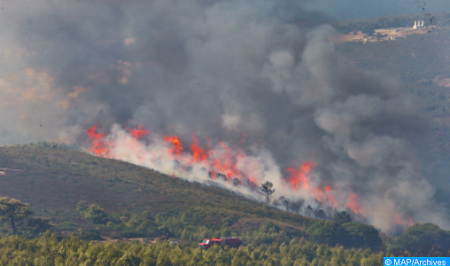 سلطات محلية: اندلاع حريق بغابة ‘عشاشة تاسيفت’ بإقليم شفشاون وجهود متواصلة لتطويقه