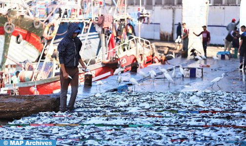 الرباط: وضعية الموارد البحرية في حوض المتوسط محور لقاء بين المغرب والاتحاد الأوروبي