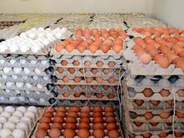 رئيس الجمعية الوطنية لمنتجي بيض الاستهلاك يوضح عبر agora.ma  أسباب ارتفاع ثمن البيض