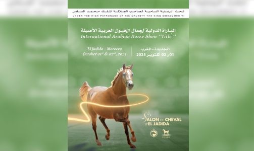 الدورة ال16 لمعرض الفرس للجديدة تستضيف المباراة الدولية Title Show لجمال الخيول العربية الأصيلة