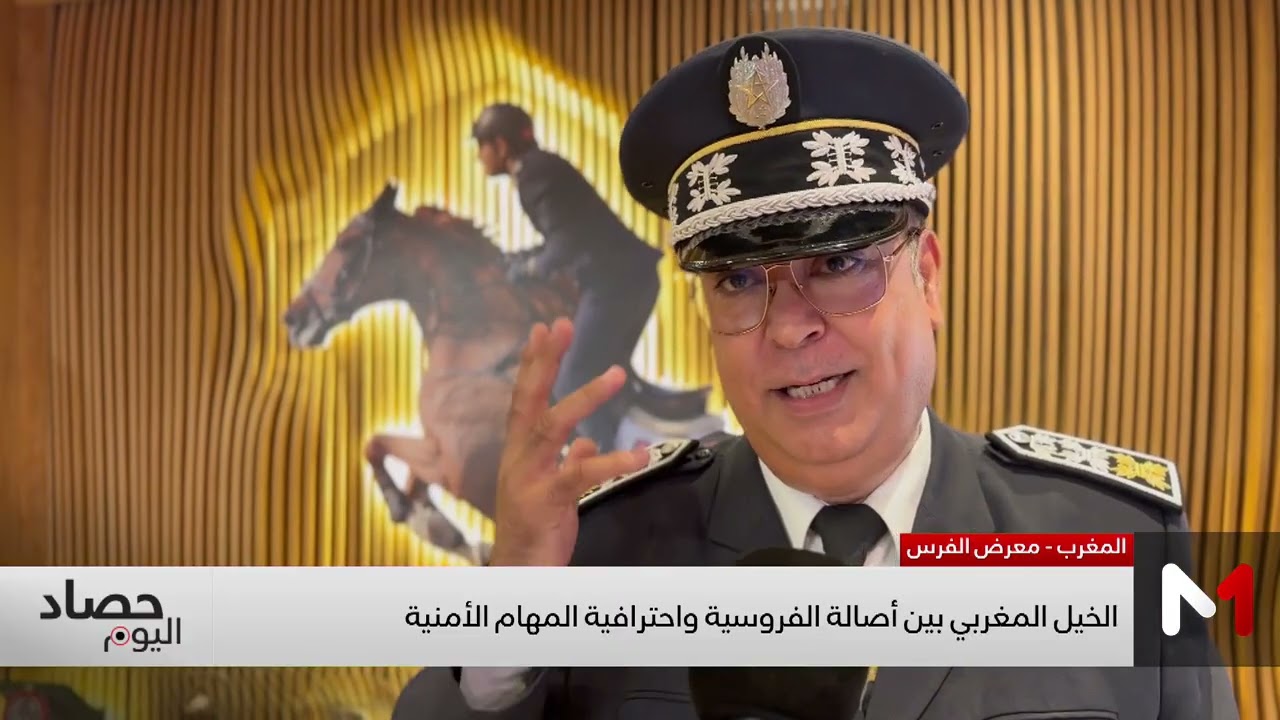 المعرض الدولي للفرس بمدينة الجديدة: الخيل المغربي بين أصالة الفروسية واحترافية المهام الأمنية
