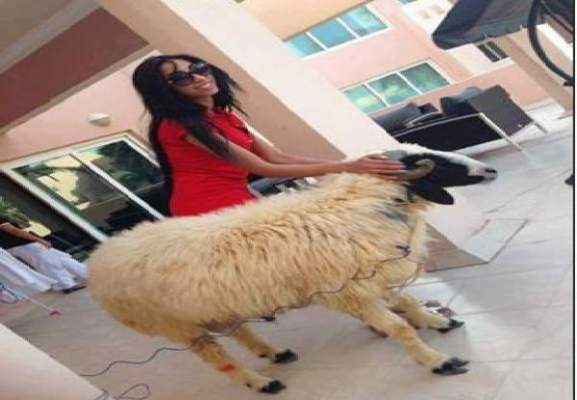 بالصورة: هذا هو خروف دنيا باطما وتشارك معجبيها فرحة العيد بالمغرب