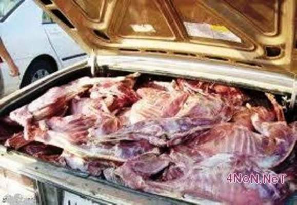 بني ملال : تفكيك شبكة متخصصة في تزويد بني ملال والدار البيضاء بلحوم الذبيحة السرية
